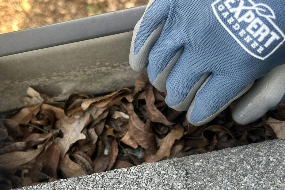 Gutter Cleaning Piney Point Village, TX